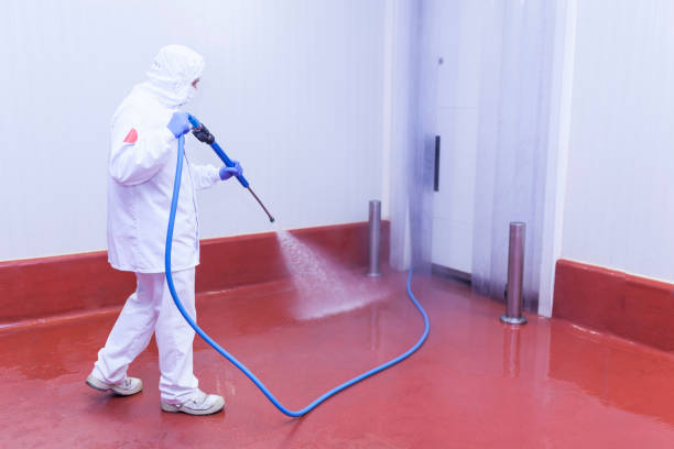 Best Driveway Pressure Washing  in Dalton, PA
